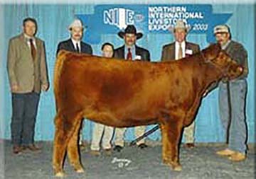 Ms Advancer Of 4L RM5