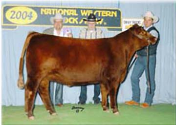 Ms Advancer of 4L RM30