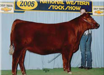 Ms 122 Chateau of 4L 302N