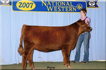 Ms Sweet Vision of 4L 181S