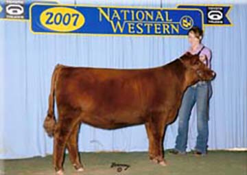 2007 Senior Showmanship