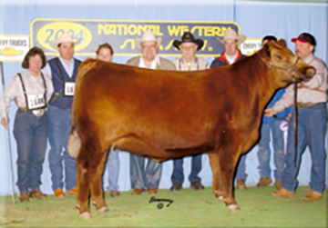 Ms Chateau of 4L R221