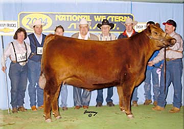 Ms Chateau Of 4L R221