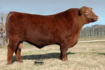 4L 323 Continuance R59N