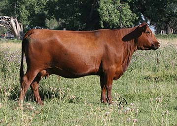 4L Ms Make My Day R034