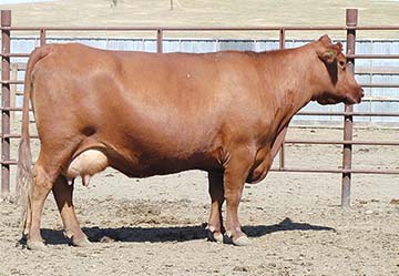 4L Ms Make My Day R809